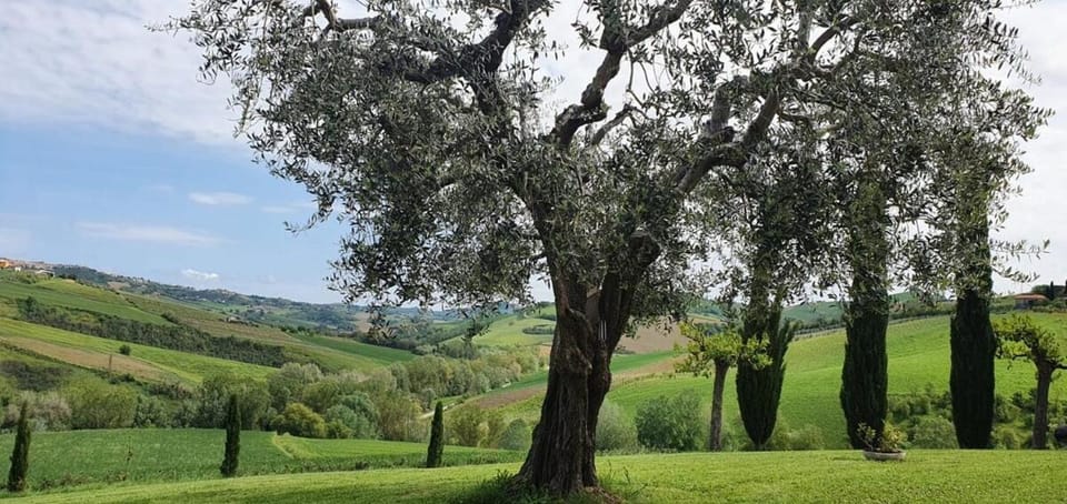 Casa Ricci House in Marche