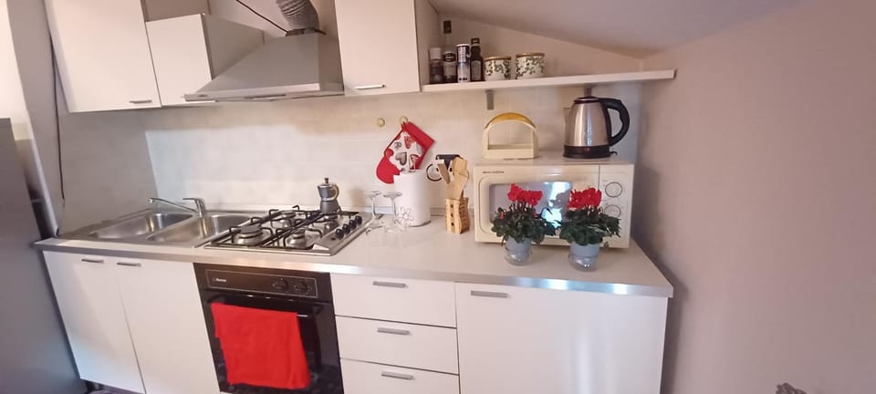 Kitchen or kitchenette, minibar, pet friendly, stove
