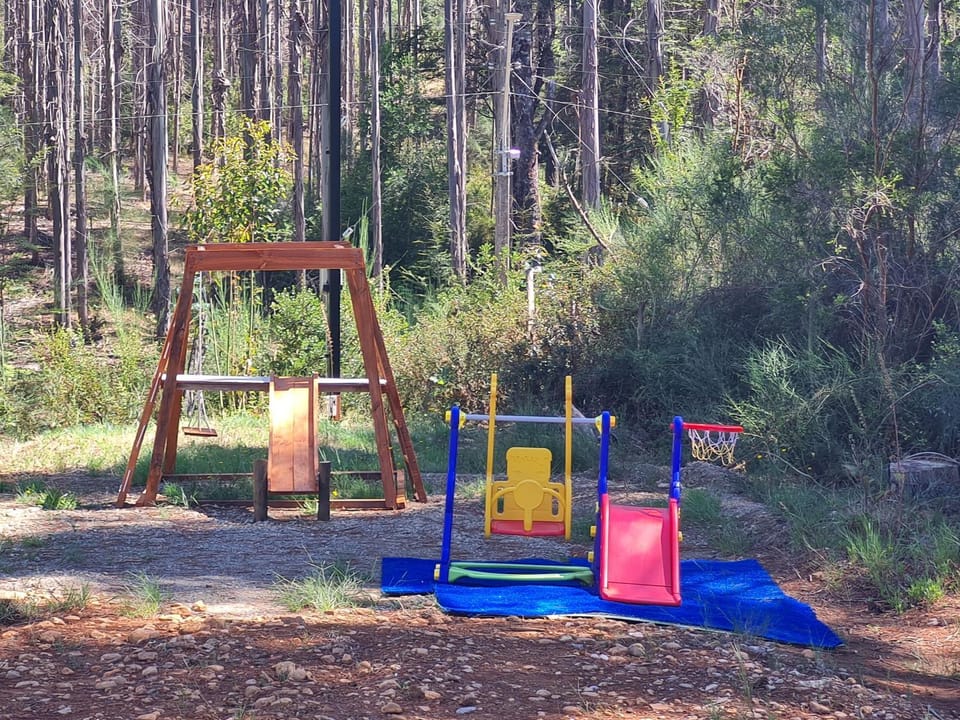 Children play ground