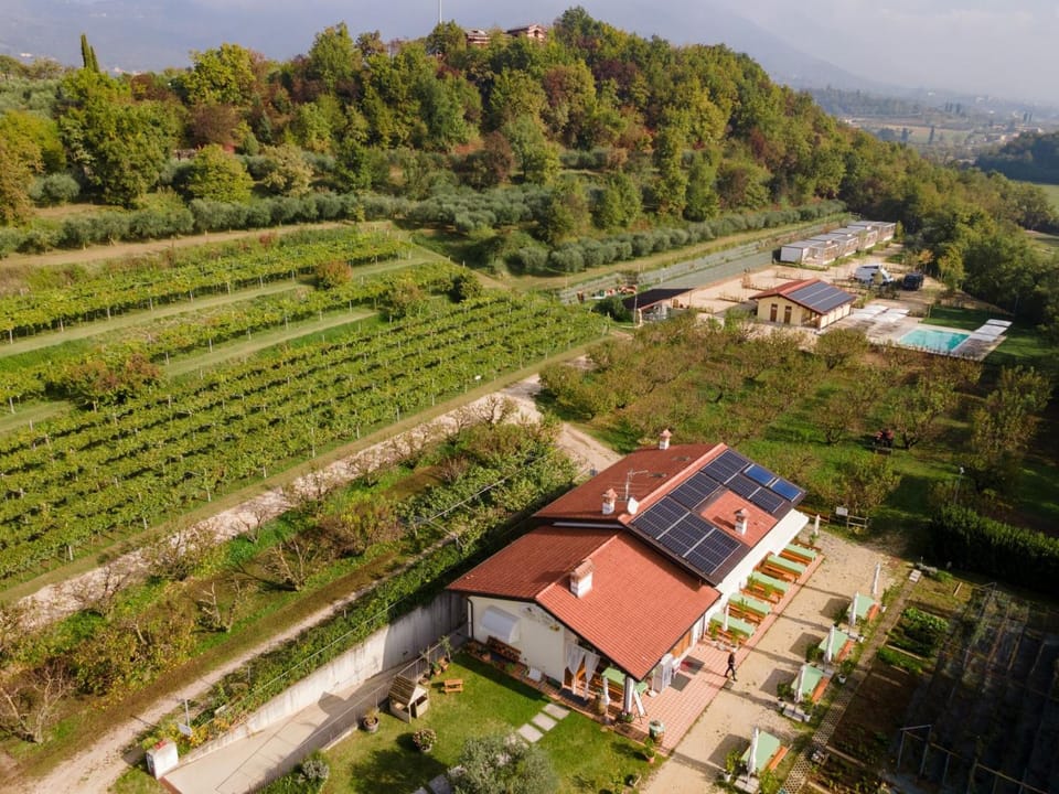 Property building, Restaurant/places to eat, Swimming pool