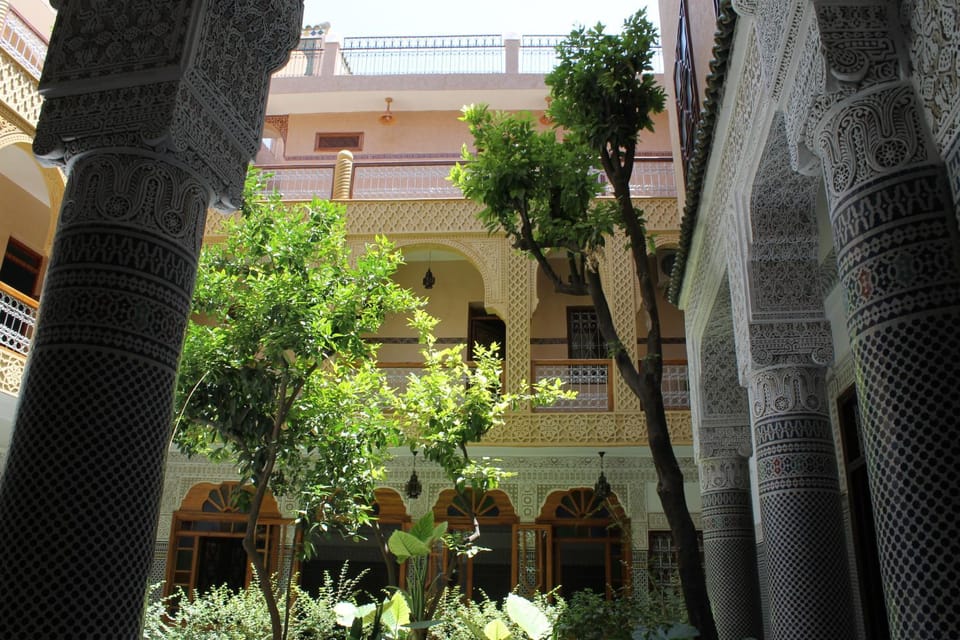 Day, Garden, Other