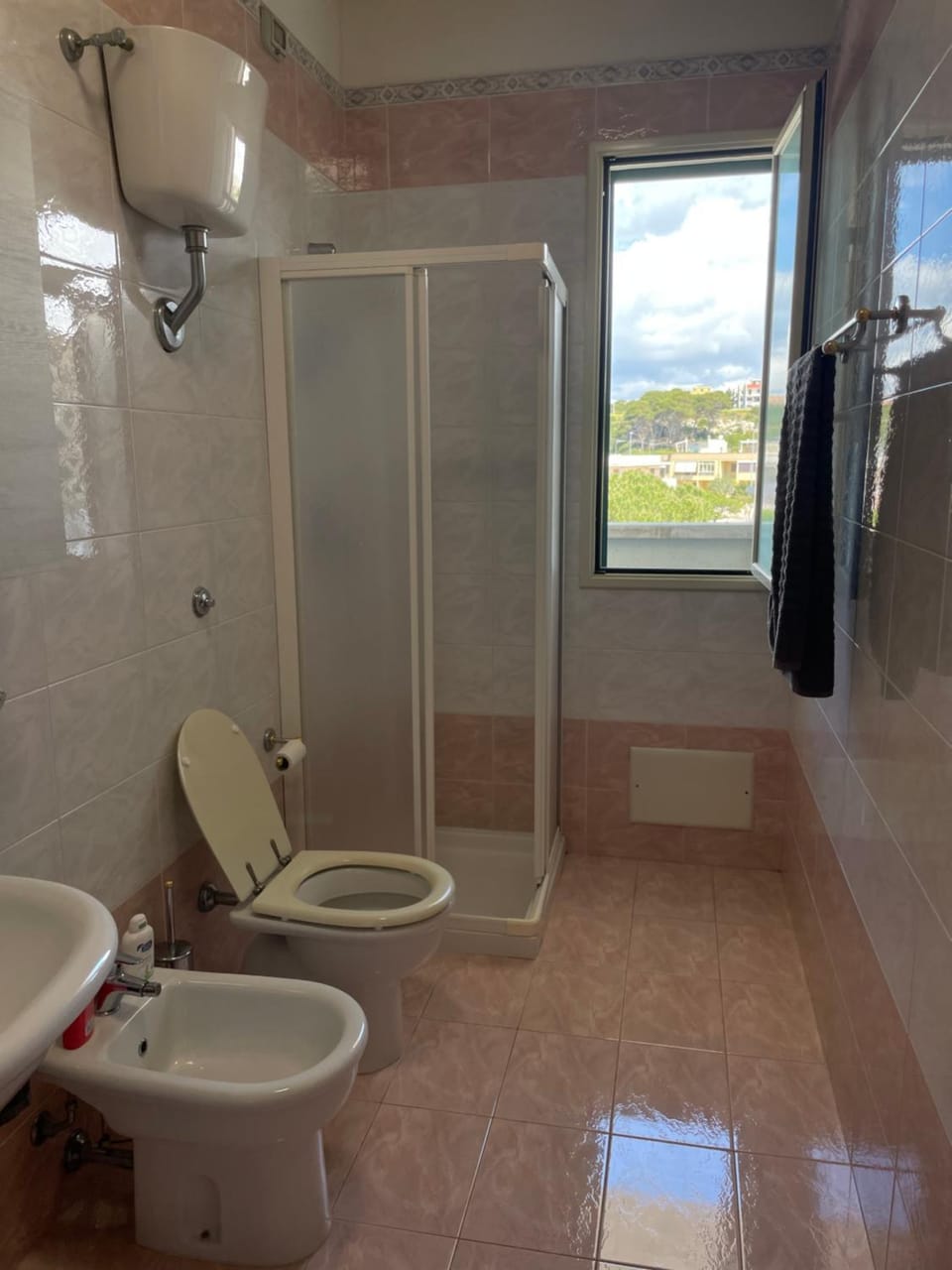 Shower, Toilet, Bathroom, bidet