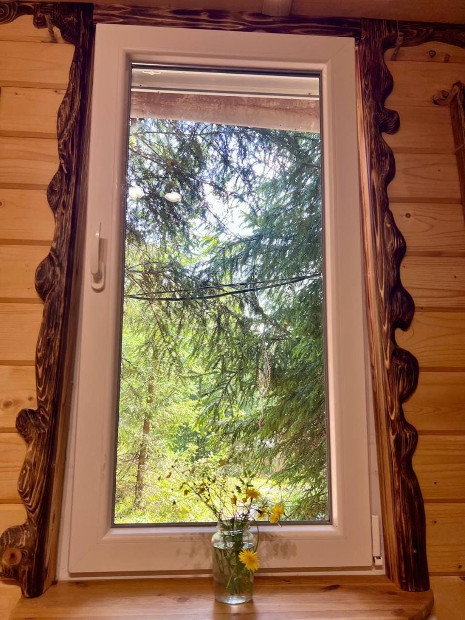 Eco glamping - Carpathians. Retreat hub Dzin Space Luxury tent in Romania