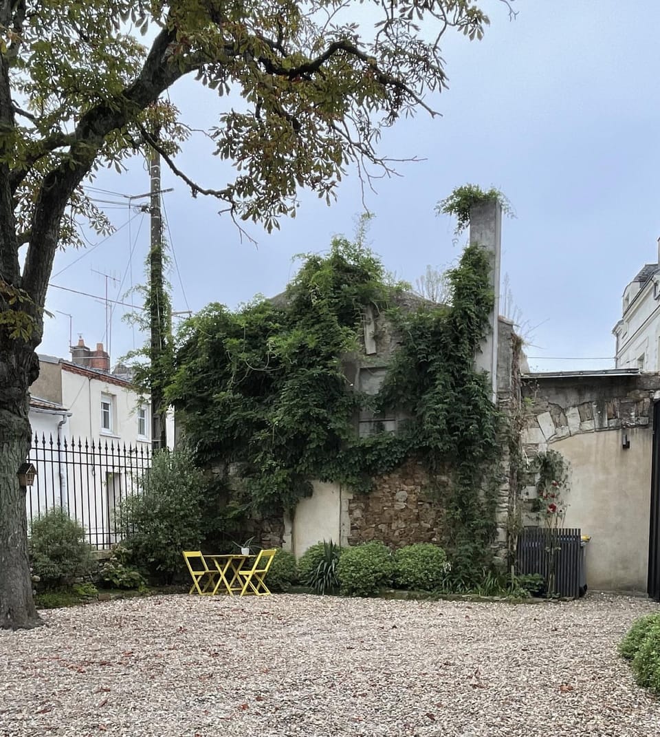 Garden, Garden view, Parking