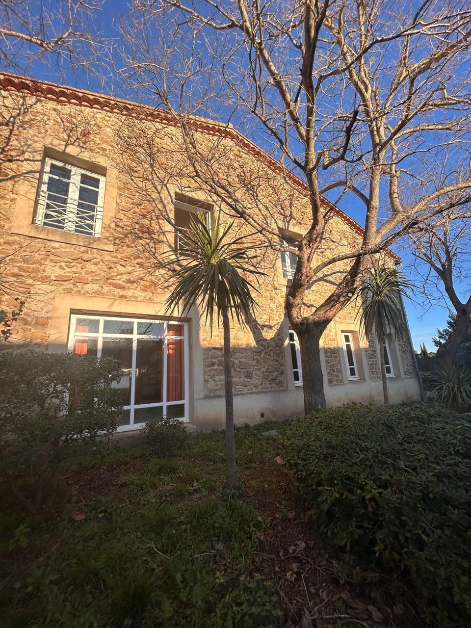 Property building, Garden, Garden view