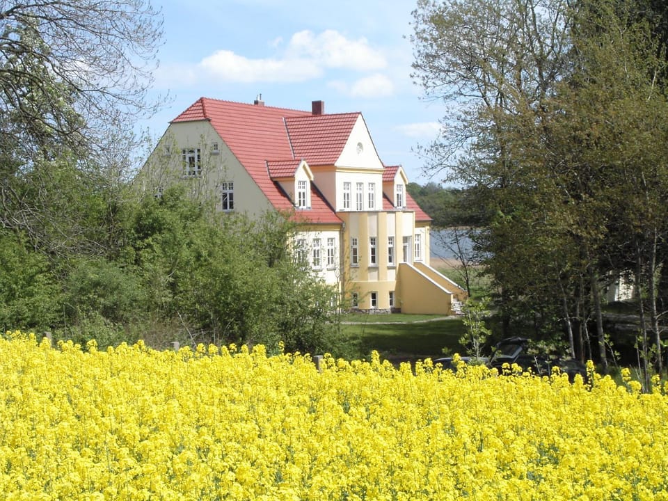 Facade/entrance, Spring, Garden, View (from property/room)