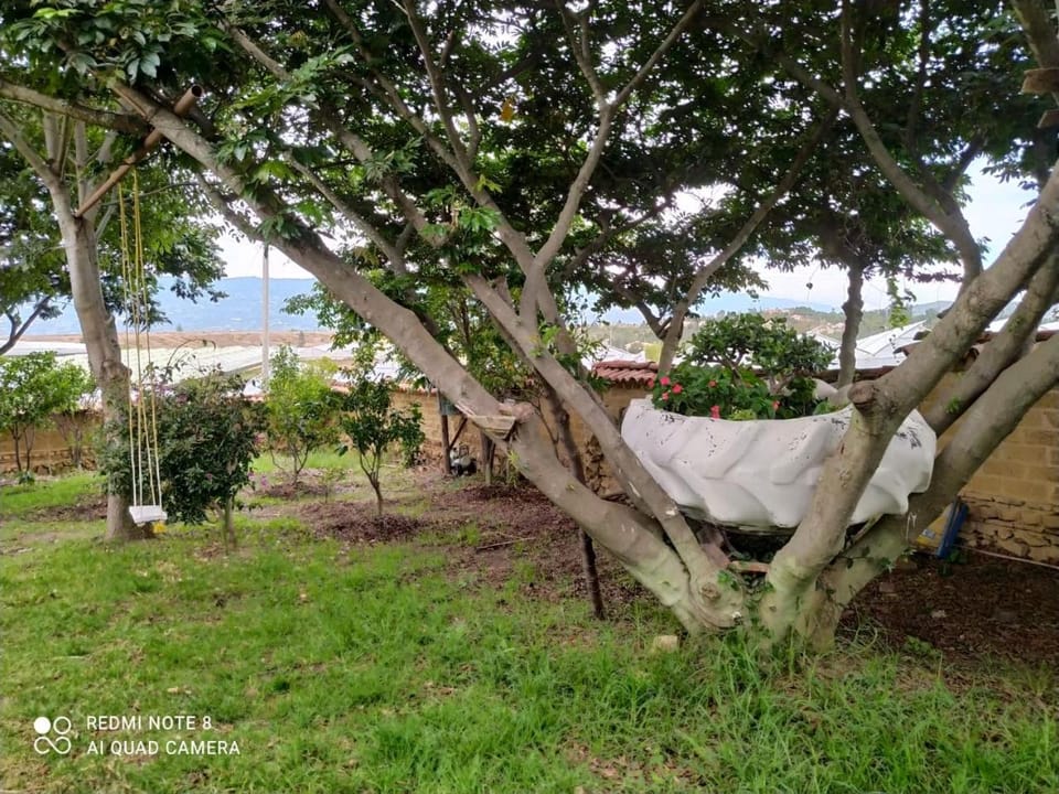 Natural landscape, Garden