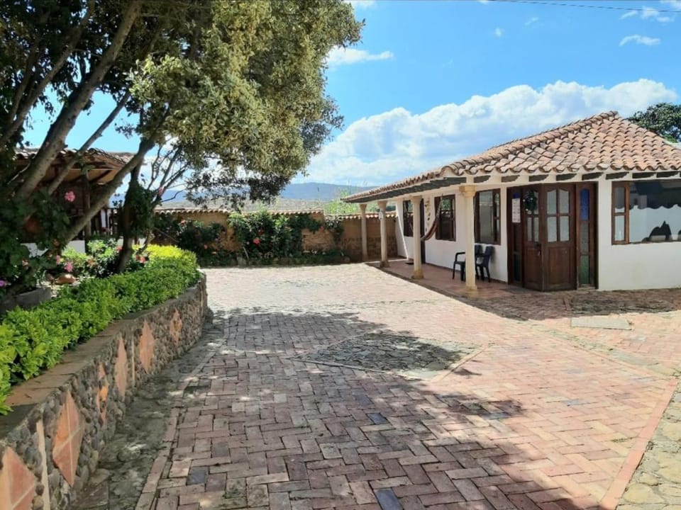 Patio, Garden