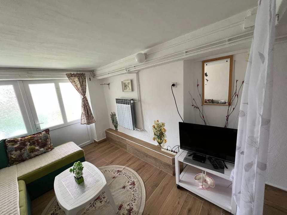 Apartments Obradović Milan Apartment in Montenegro