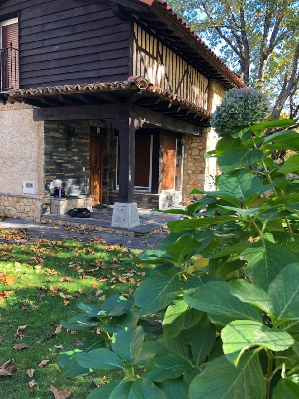 Garden view