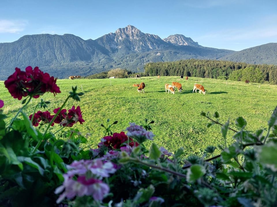 Fuchsbauernhof Farm Stay in Berchtesgadener Land
