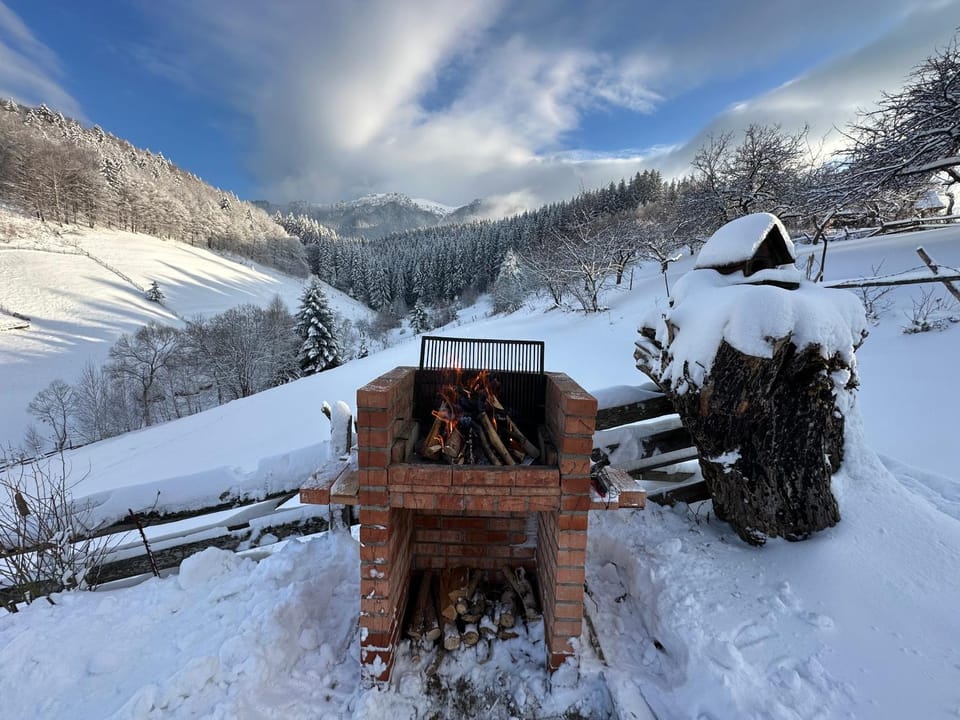 La Căsuță House in Bran