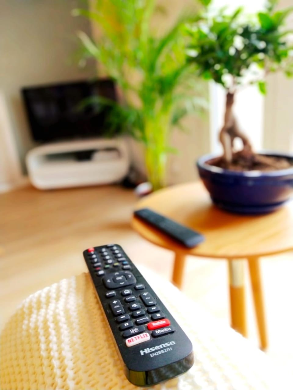Communal lounge/ TV room, TV and multimedia