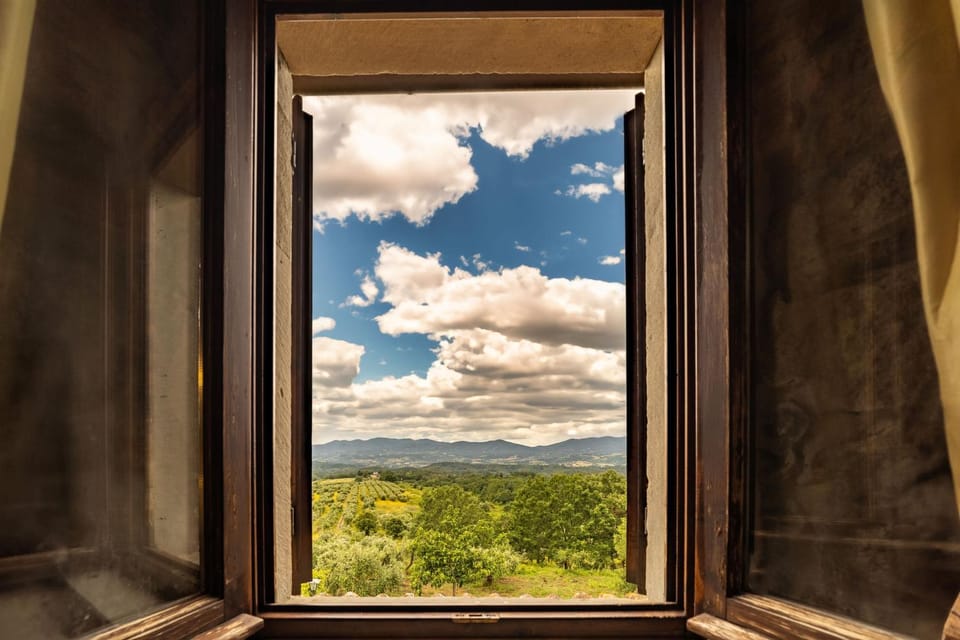 Day, Natural landscape, View (from property/room), Garden view