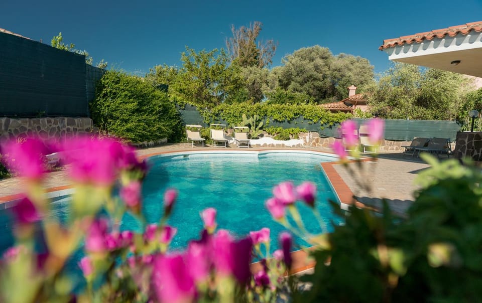 Pool view, Swimming pool