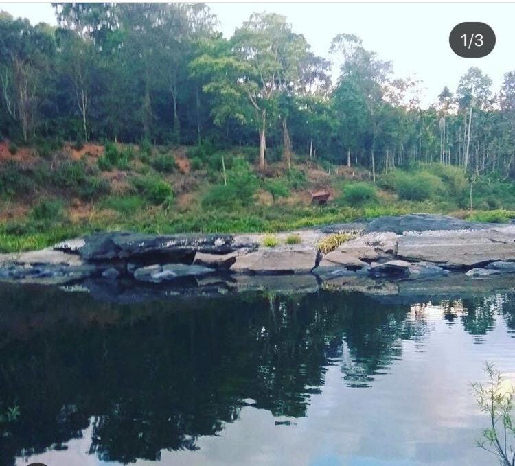 Coorg -Kunji Phad River View Homestay Vacation rental in Kerala