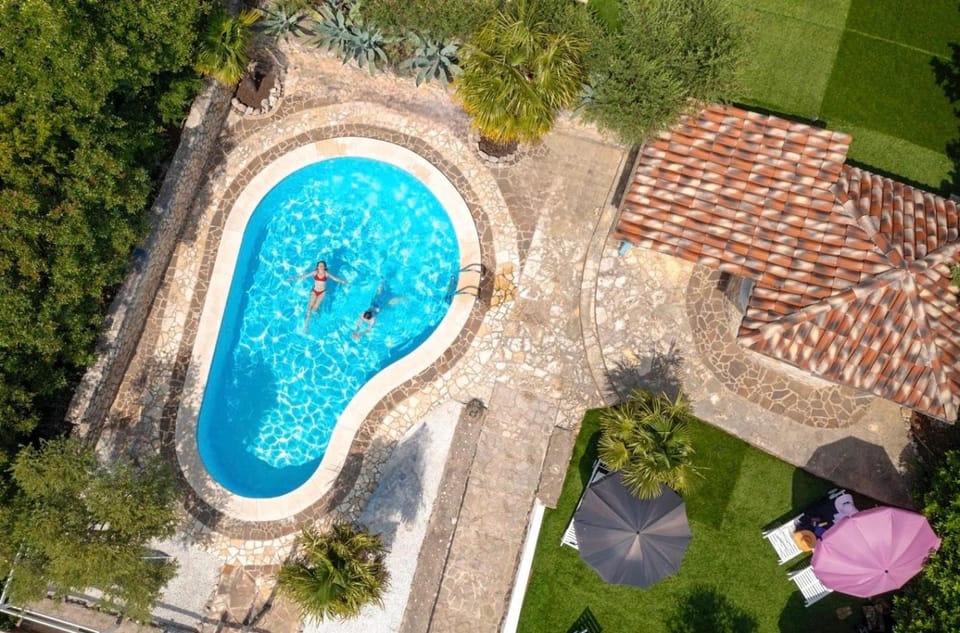 Spring, Natural landscape, Bird's eye view, Garden, Garden view, Pool view, Swimming pool, sunbed