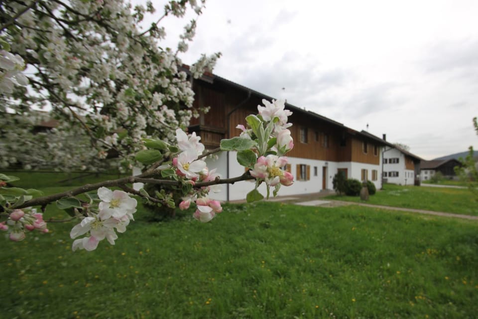 Mayerbauer Farm Stay in Berchtesgadener Land