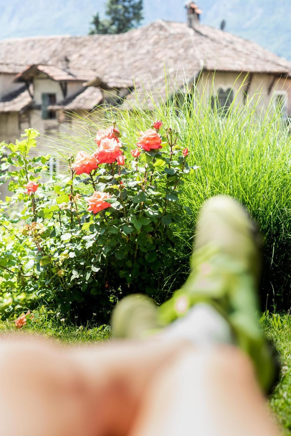 Restaurant/places to eat, Garden