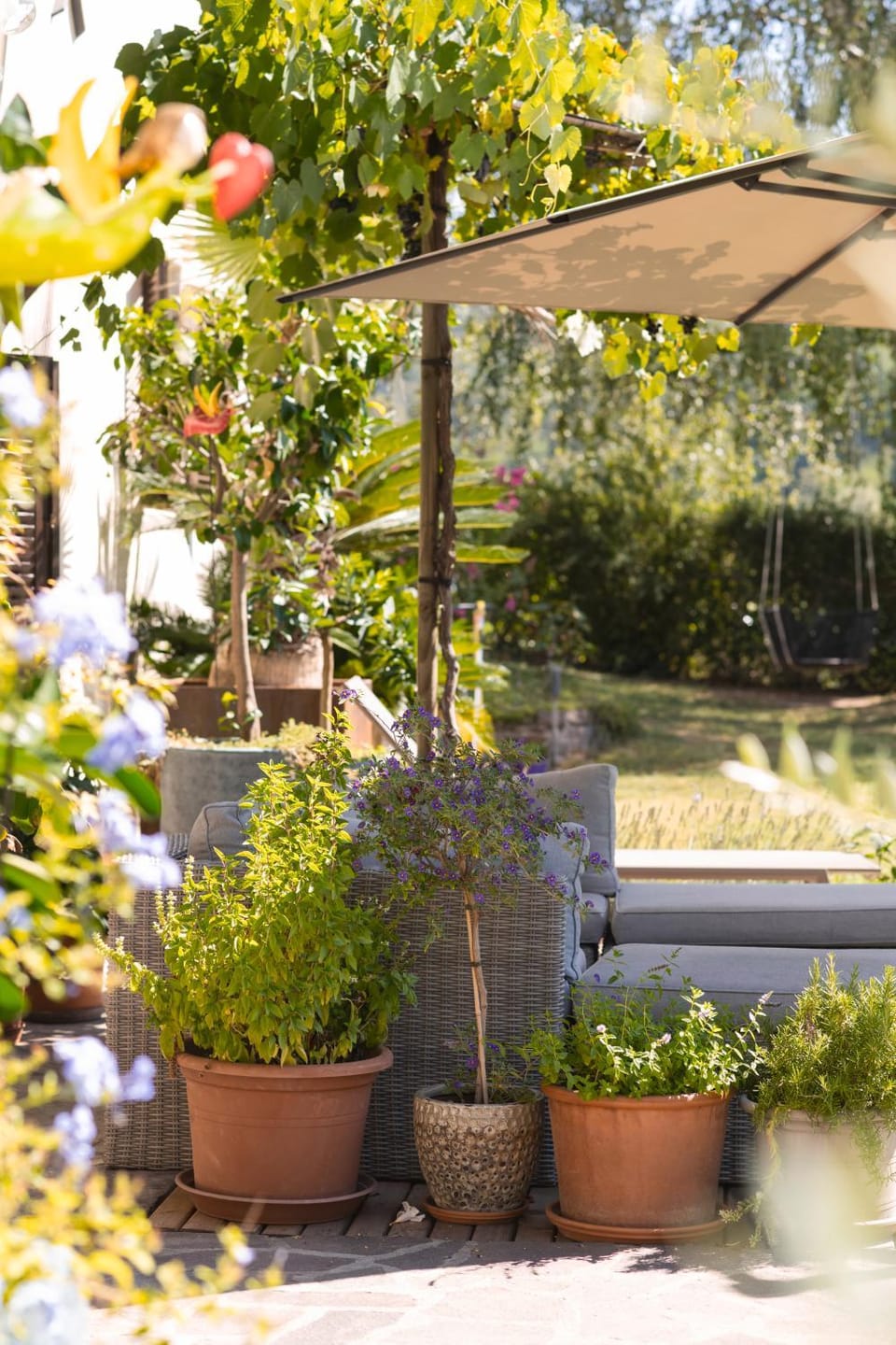 Garden view