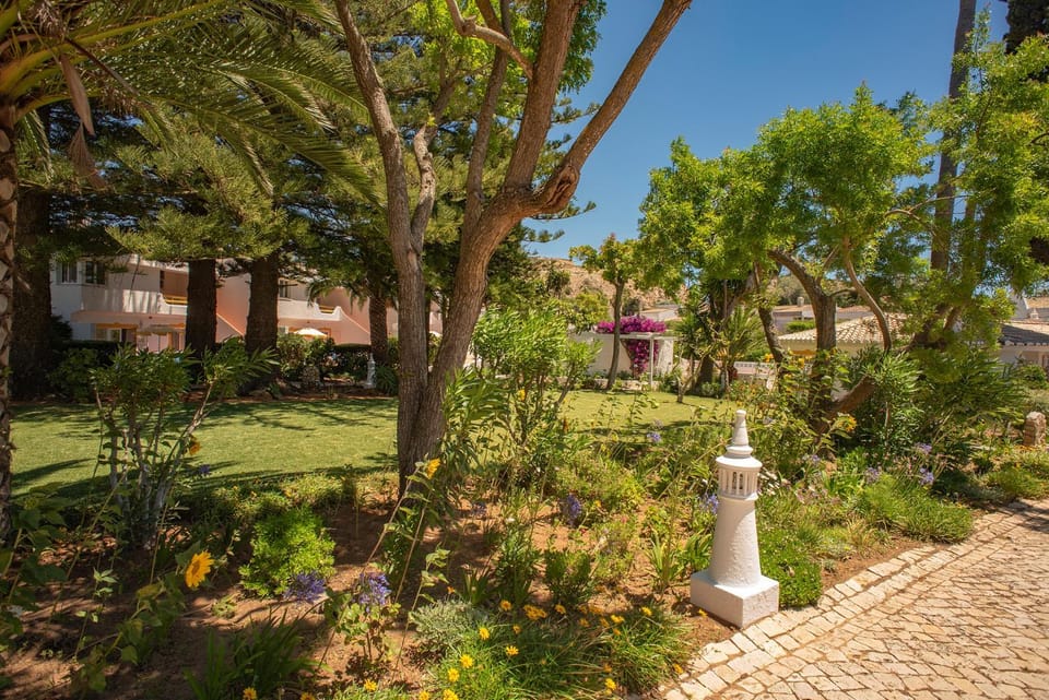Natural landscape, Garden, Garden, Garden view