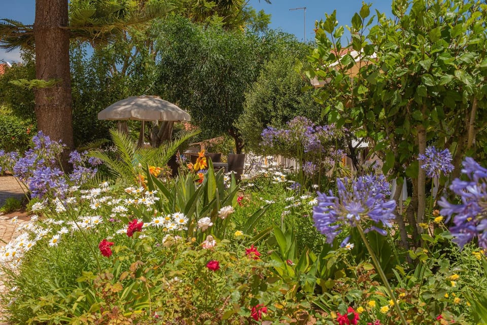 Garden, Garden, Garden view