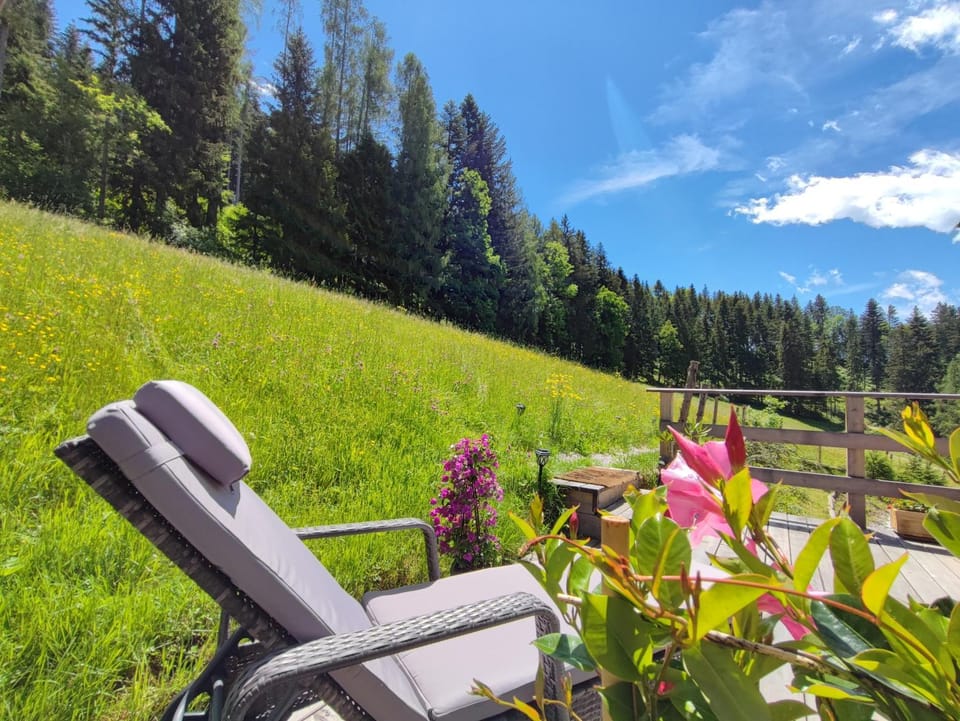 Villa Bischofsberg - Lärchen-Wellness Apartment Bed and Breakfast in Upper Austria