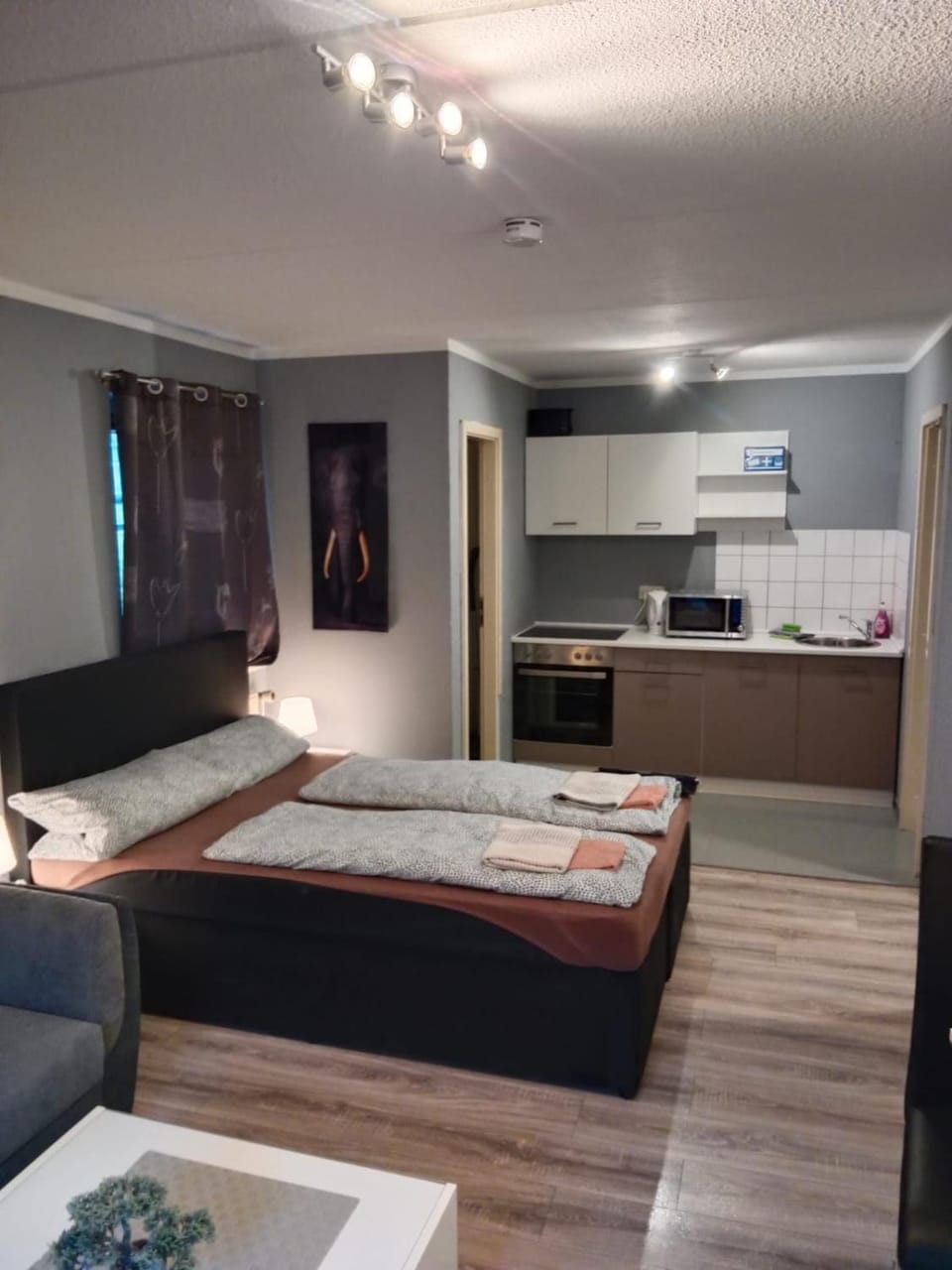 Bed, Kitchen or kitchenette, Bedroom, stove, kitchen, kitchen