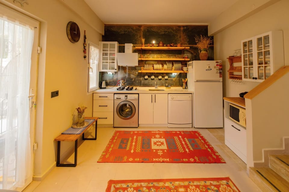 Kitchen or kitchenette, dishwasher, minibar, pet friendly, stove, washing machine