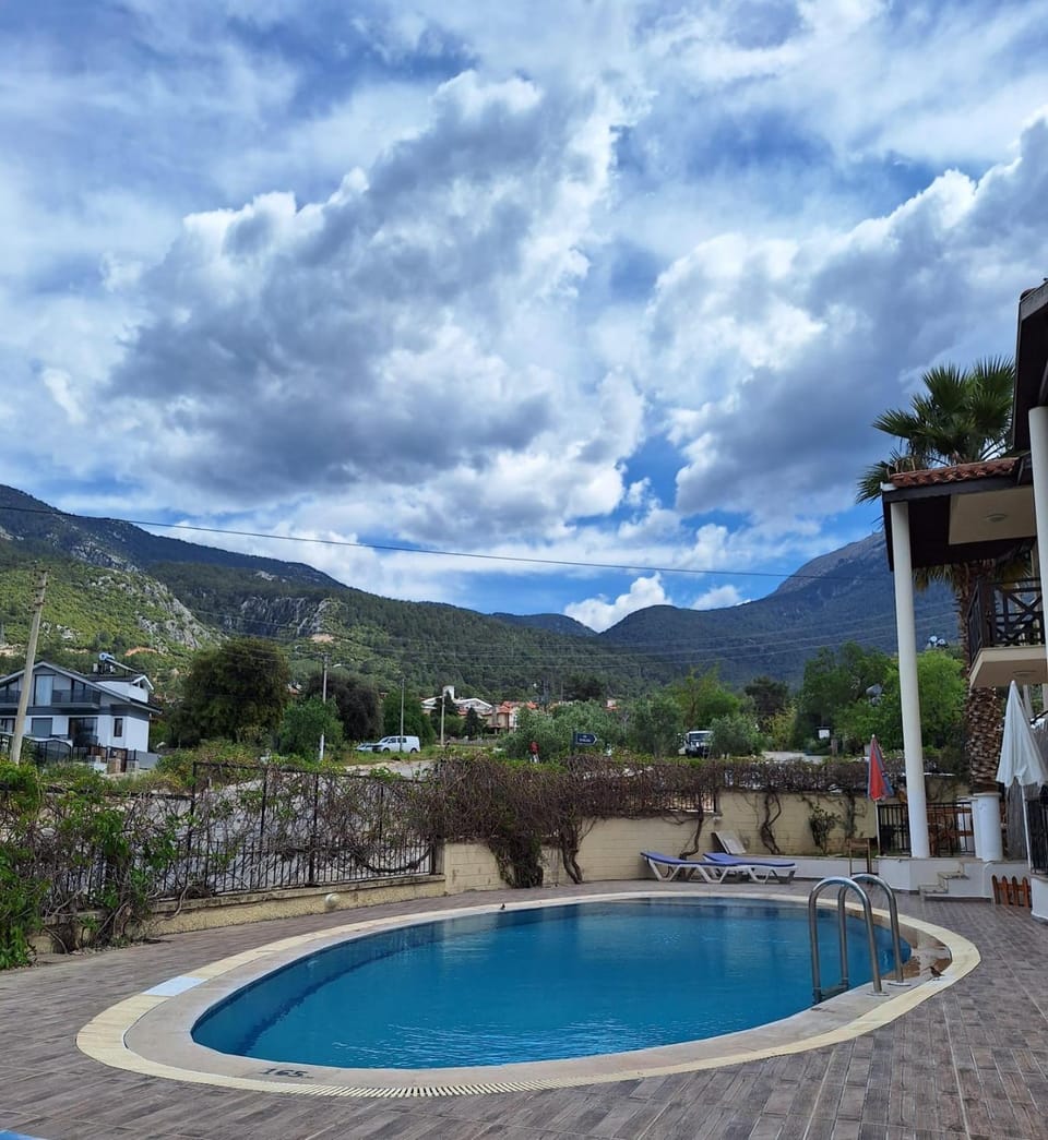 Garden, Swimming pool, Swimming pool