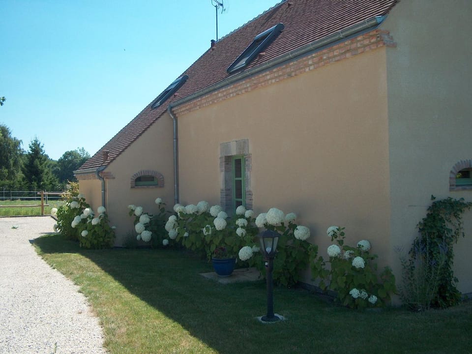 Gîte rural de charme avec sauna, forêt à proximité et prairie avec chevaux - FR-1-590-119 House in Centre-Val de Loire