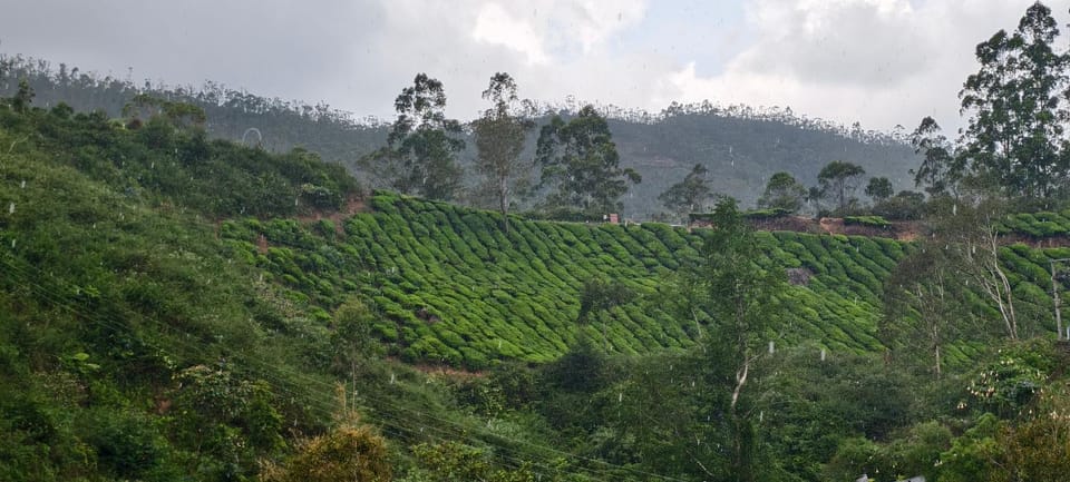 CARMEL HOME STAY Vacation rental in Munnar
