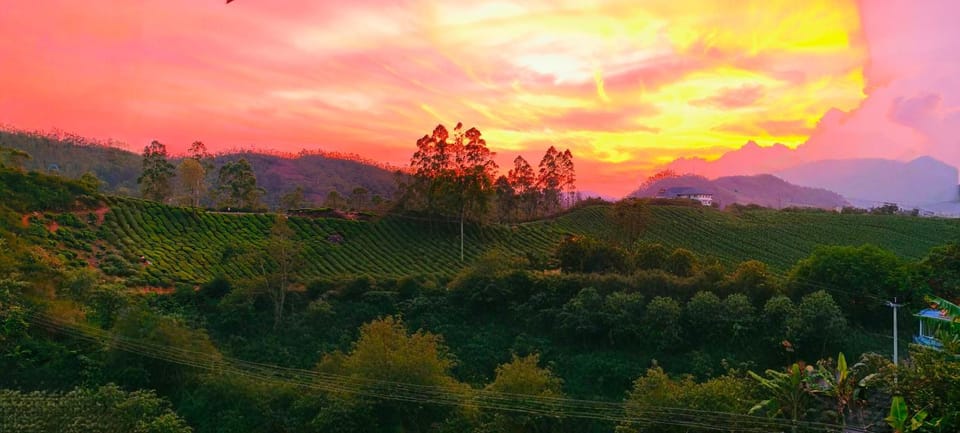 CARMEL HOME STAY Vacation rental in Munnar