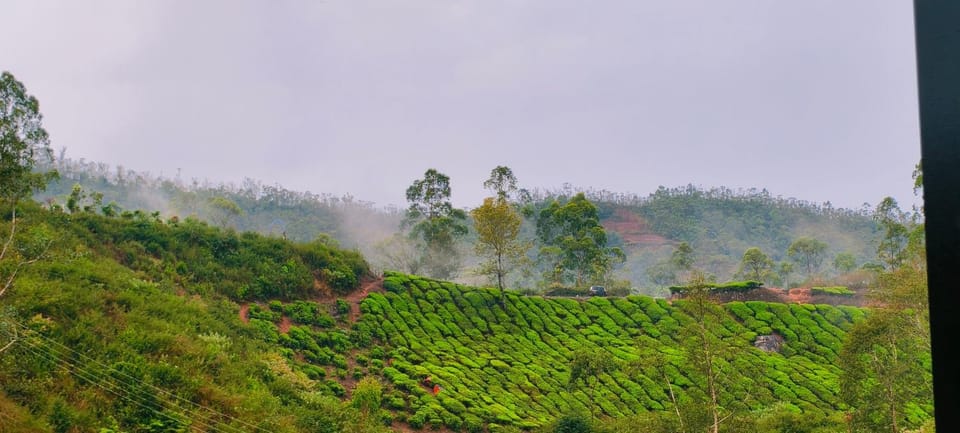 CARMEL HOME STAY Vacation rental in Munnar