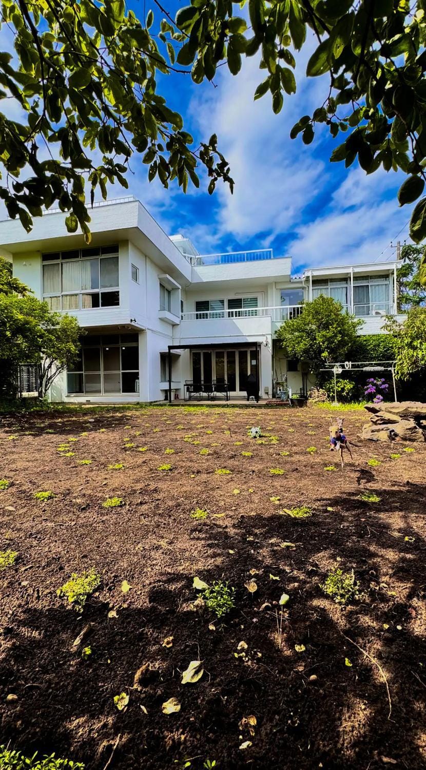 Property building, Garden