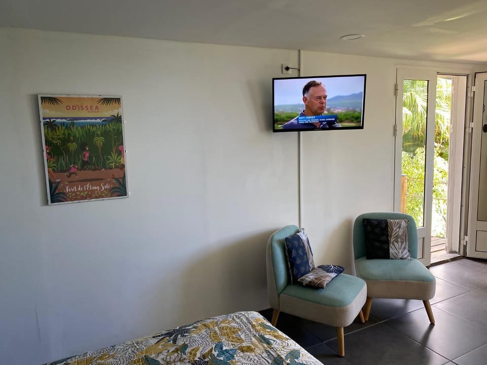 TV and multimedia