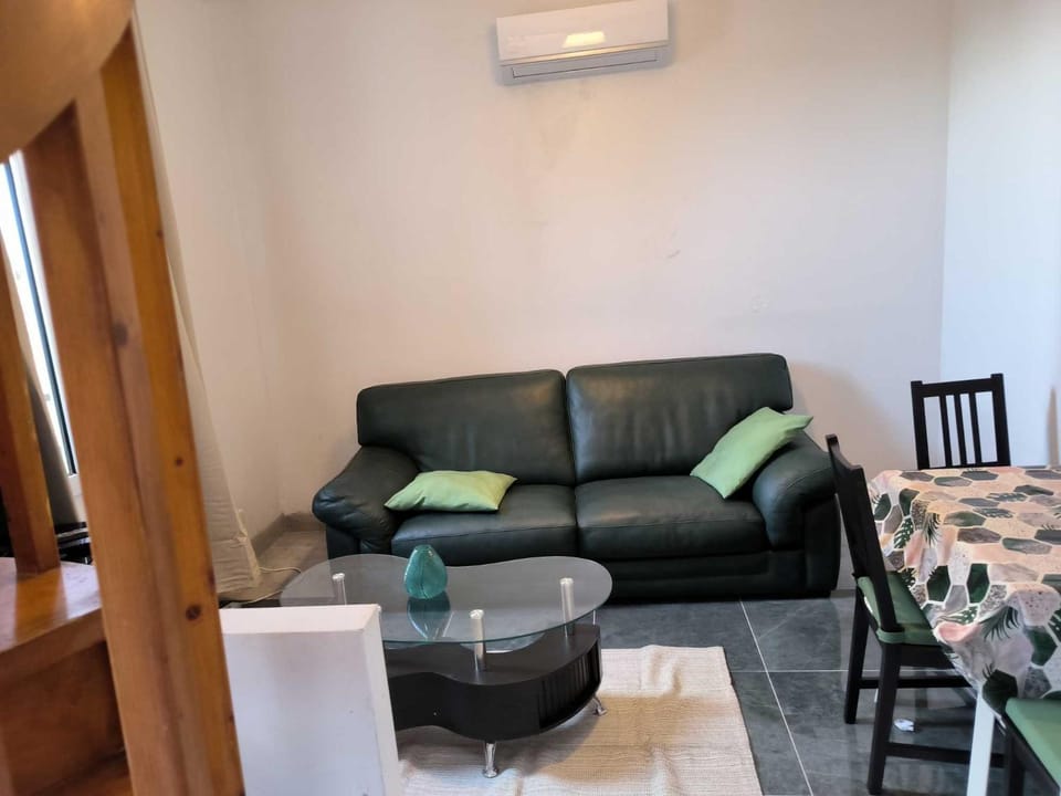 PAVILLON & Jardinet A 5 MN PARIS , 30 MN STADE de FRANCE au pied du RER B Apartment in Île-de-France