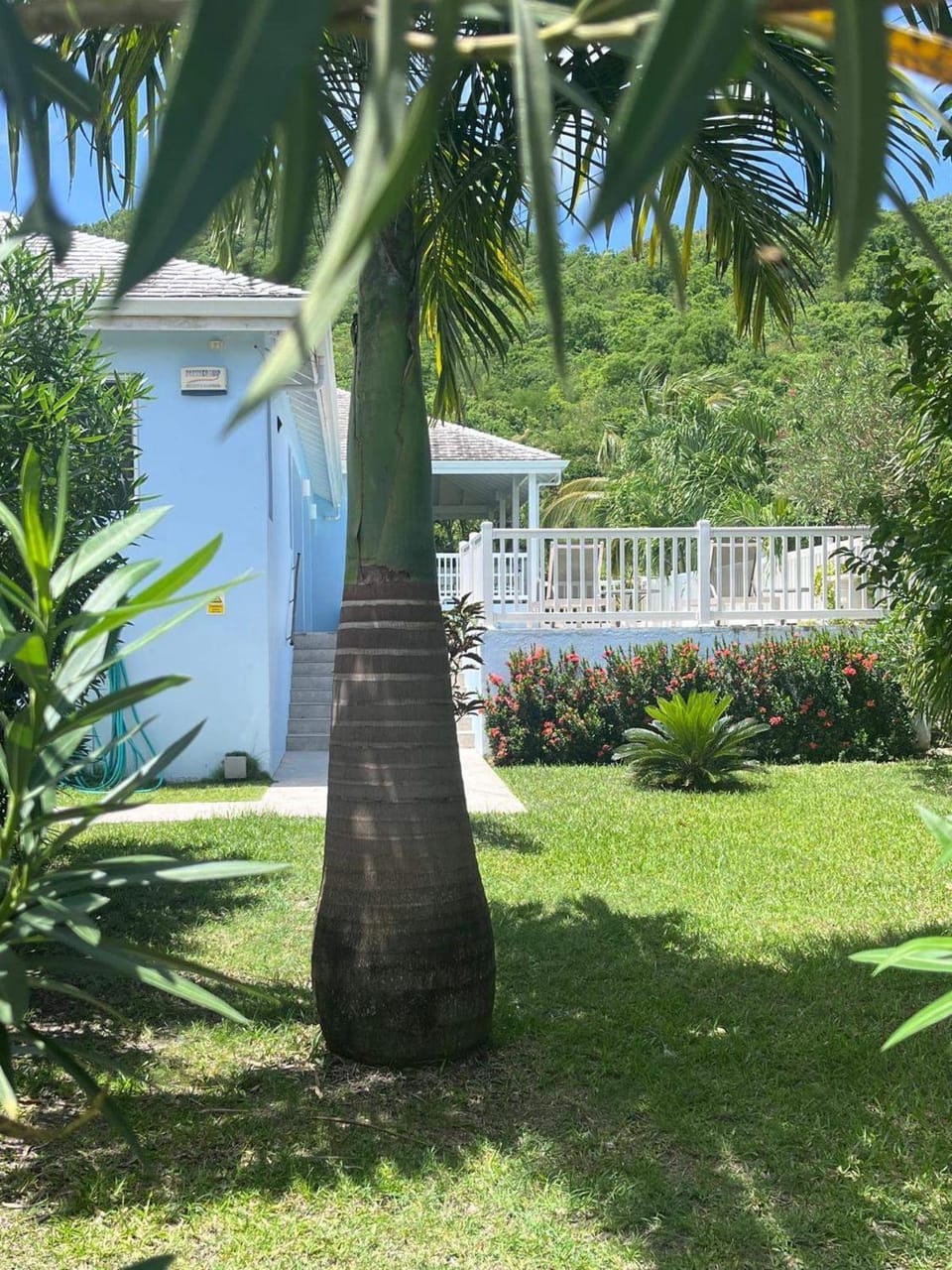 Villa - Sleeps 6 - Pool - Parking - Garden Villa in Saint Mary, Antigua and Barbuda