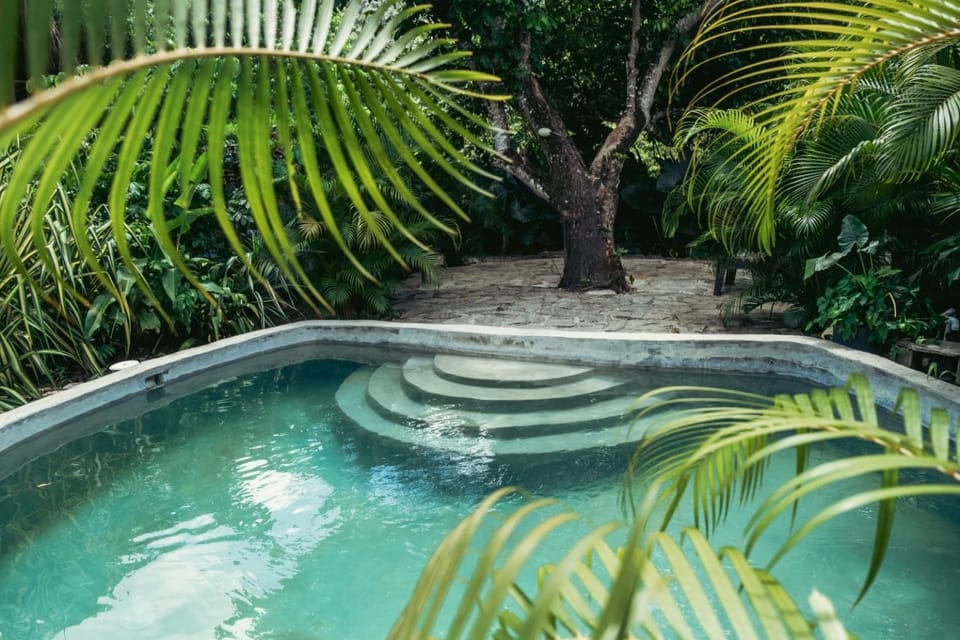 Bungalows India, El Valle, Samana Nature lodge in Samaná Province