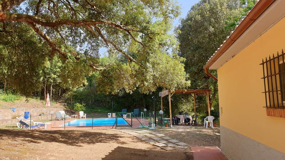 Natural landscape, Pool view