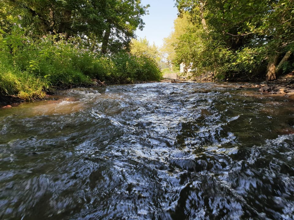 Natural landscape
