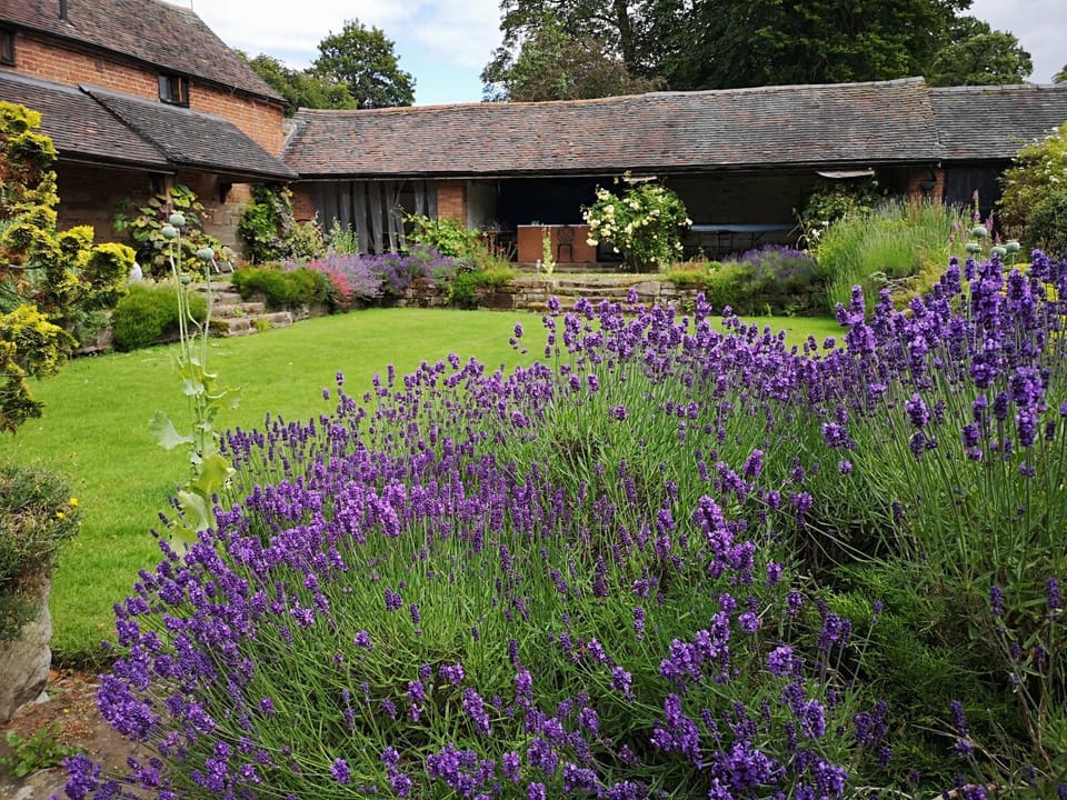 Garden, Garden view