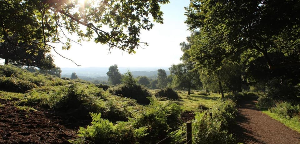 Natural landscape
