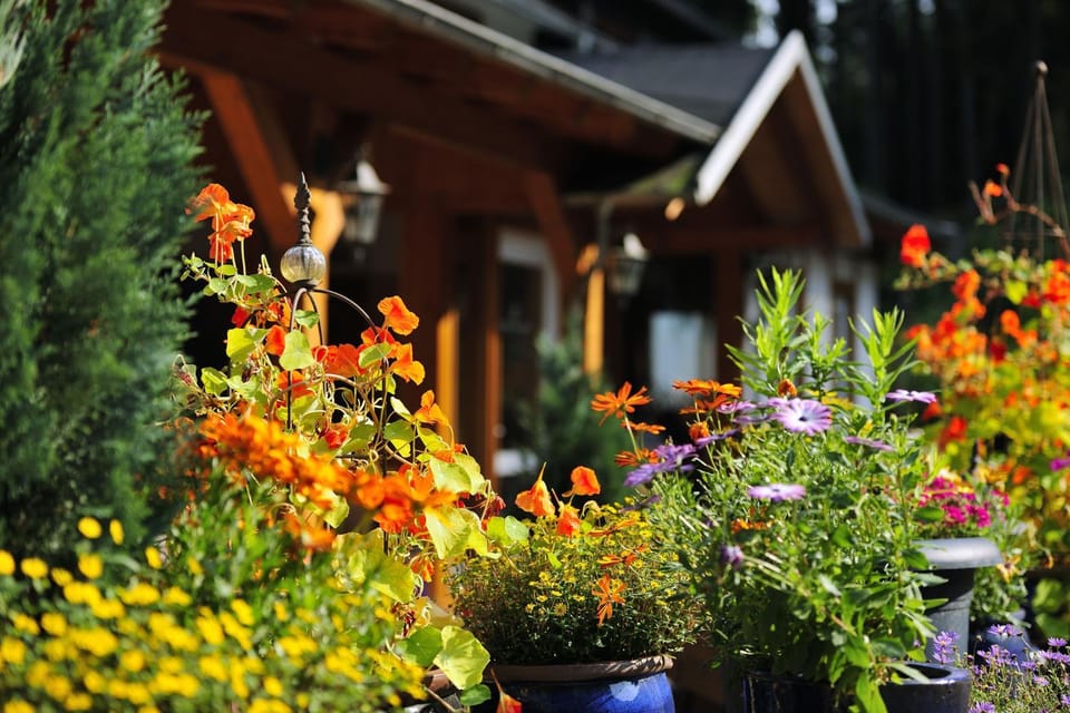 Garden view