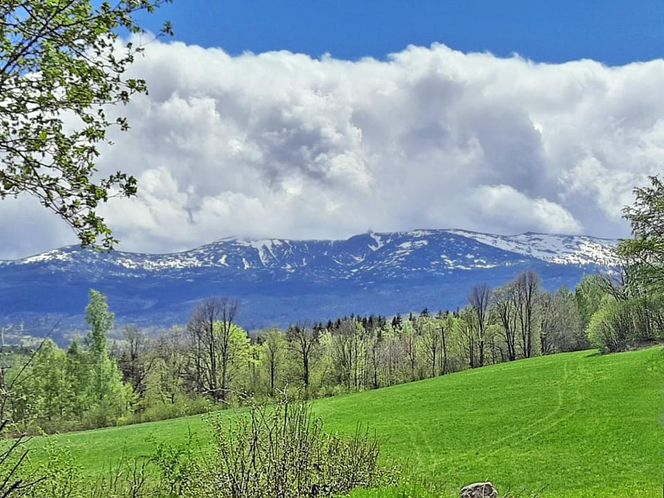 Mountain view