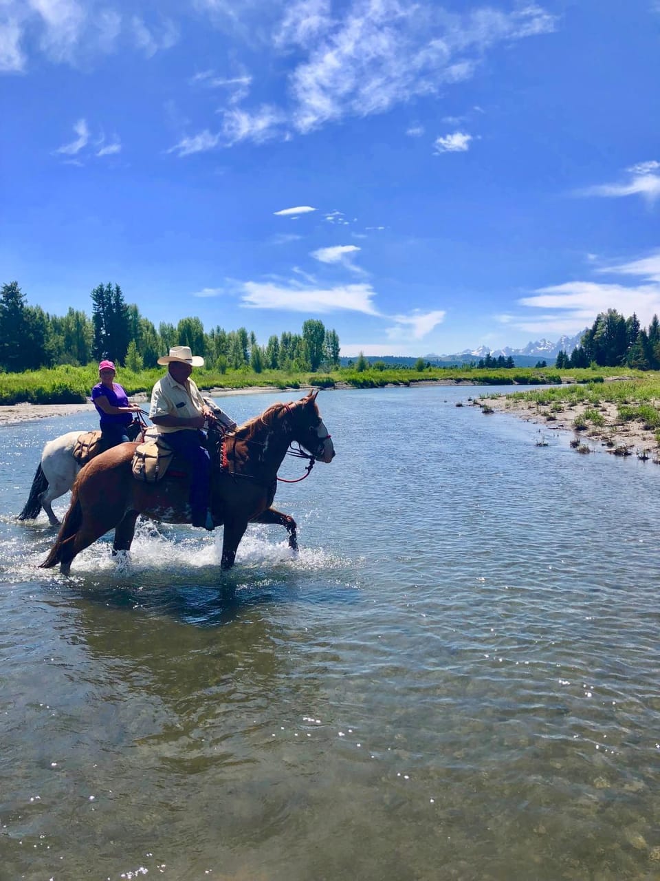 People, Horse-riding, Animals
