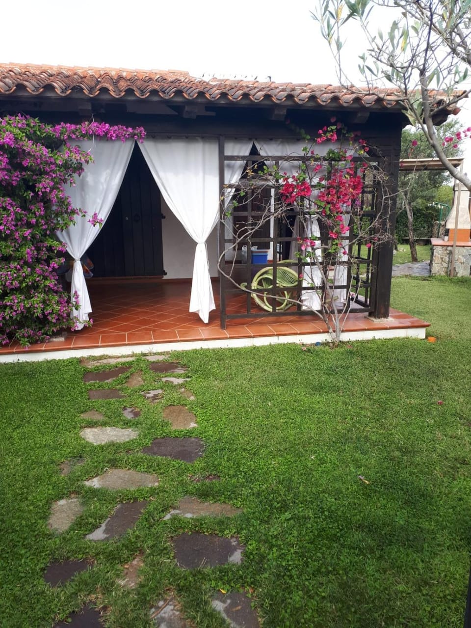 Patio, Garden