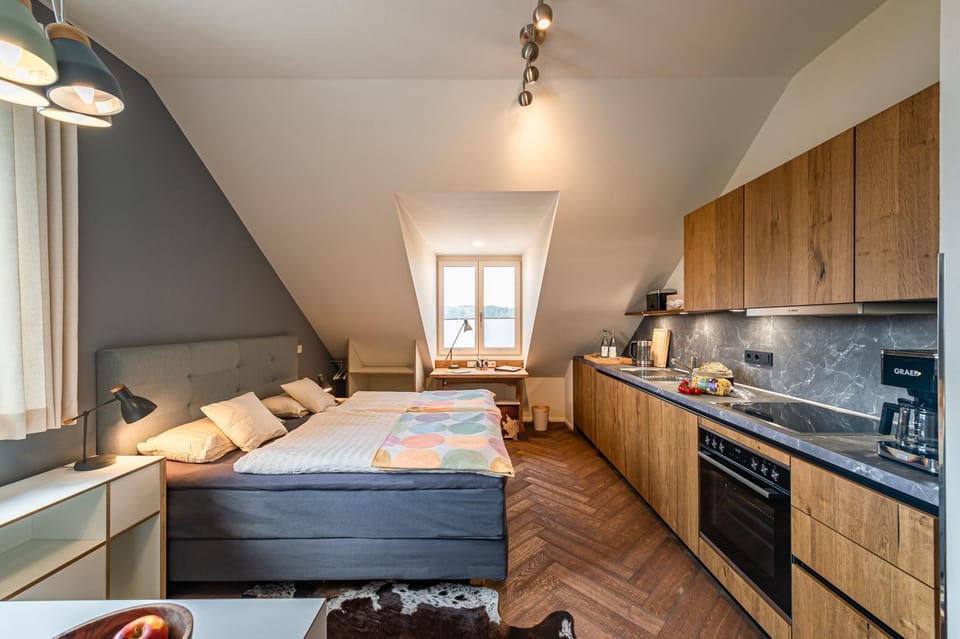 Bed, Kitchen or kitchenette, Photo of the whole room, Dining area, Bedroom, stove