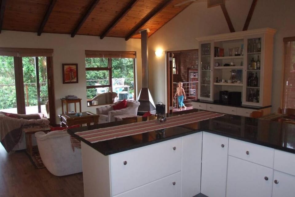 Kitchen or kitchenette, Living room, Seating area, flat iron