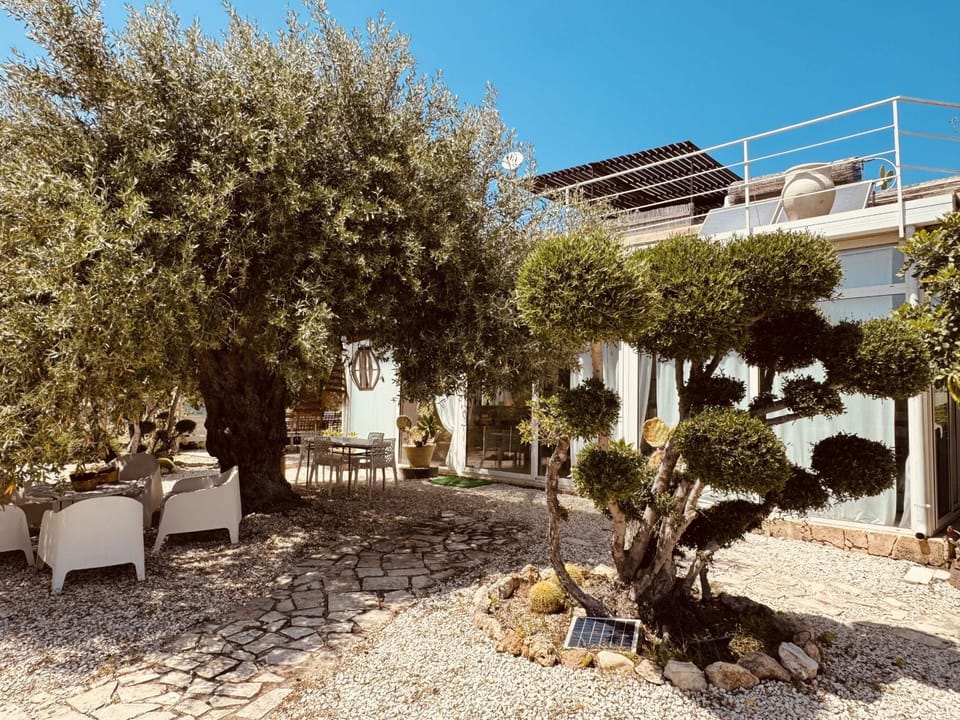 Property building, Day, Garden, Garden view